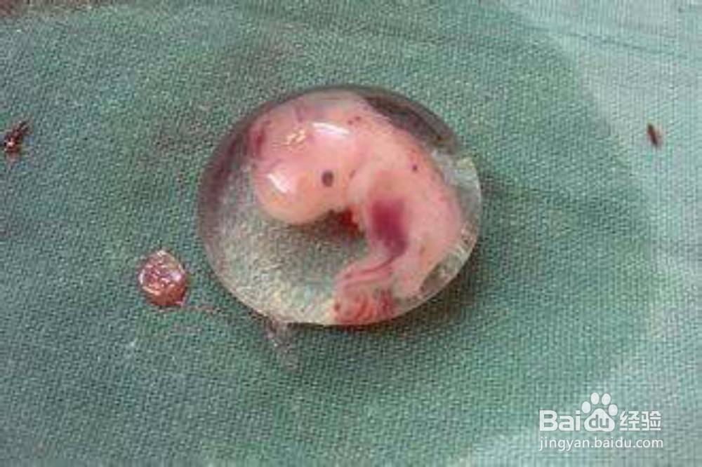 2018年狗年认识珍惜不易得到的人身