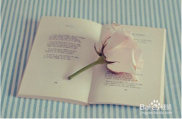 看书看不进去怎么办？