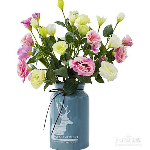 怎么养花瓶里的花