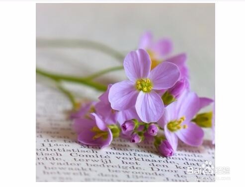 新人写小说应该注意什么