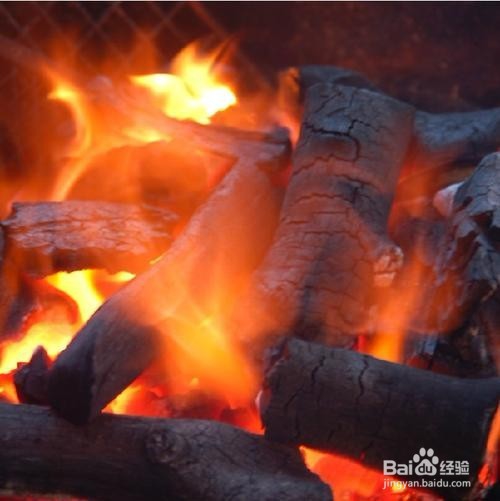 湛江生蚝批发烧烤