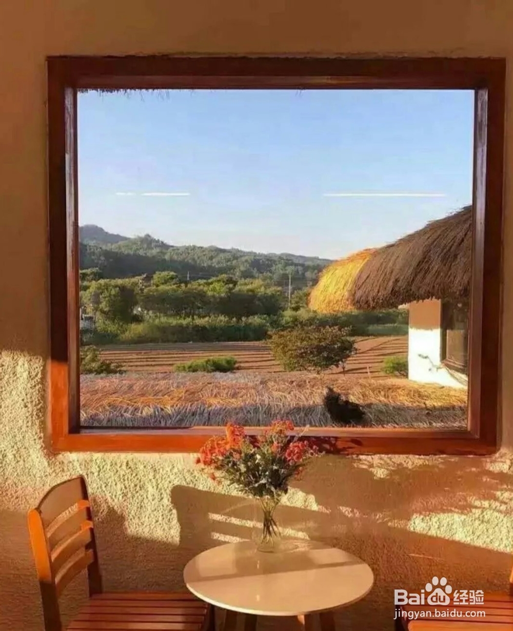 高二选科怎么选