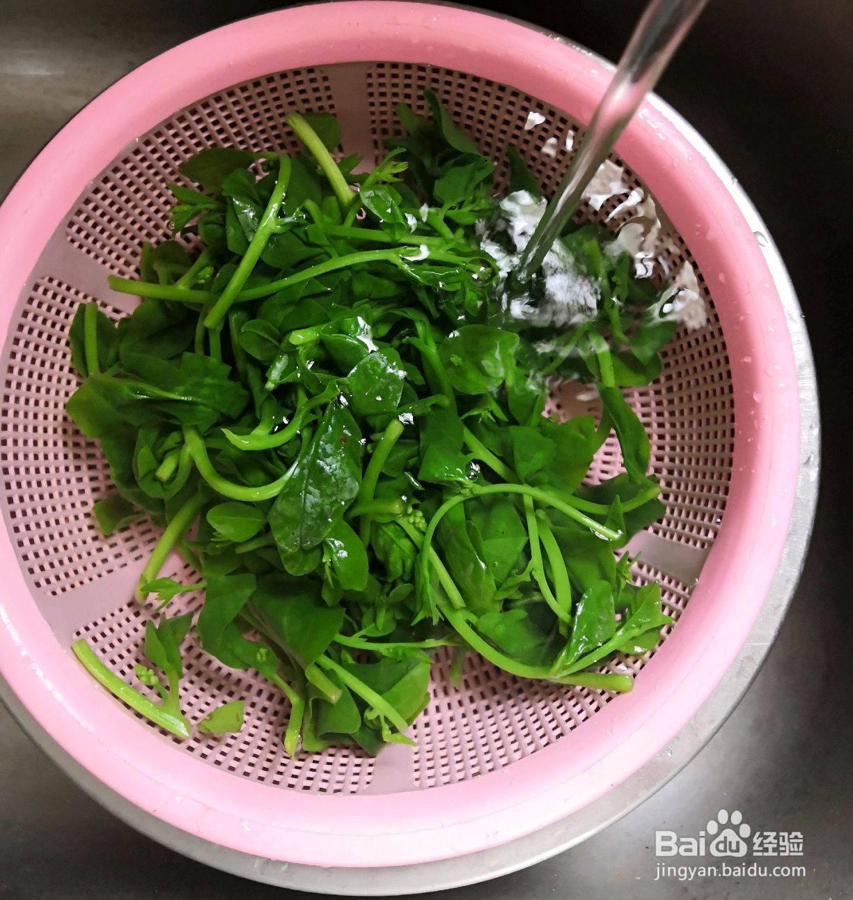 木耳菜鸡蛋沙拉的做法