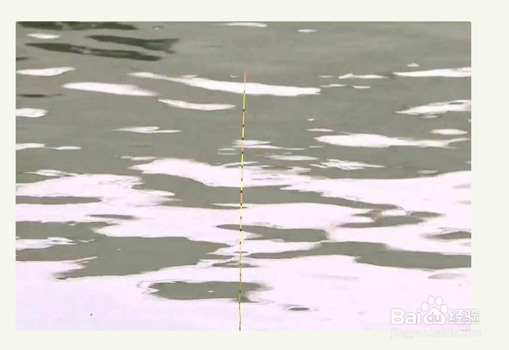 怎样知道大鱼进窝