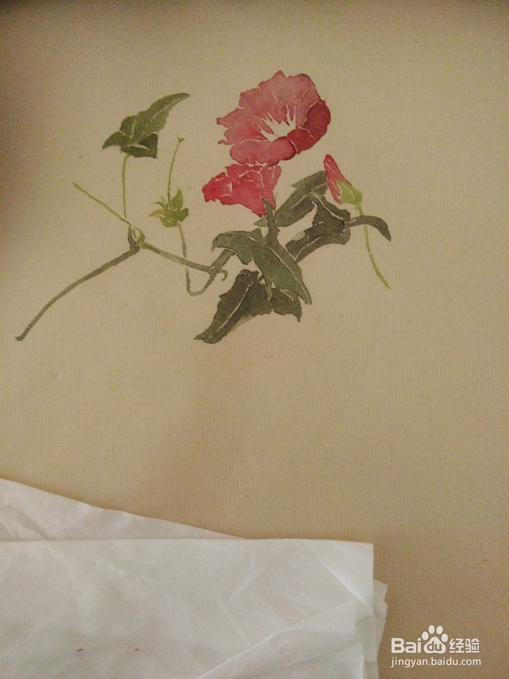 如何用没骨法画缠枝牡丹