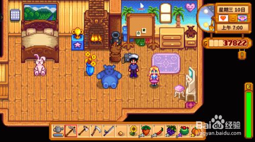 星露谷物语怎么离婚星露谷物语如何离婚 百度经验