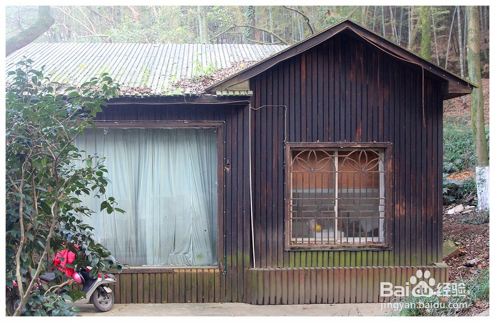 怎么拍摄公园景色