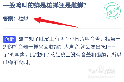 蚂蚁庄园9.21：一般鸣叫的蝉是雄蝉还是雌蝉？