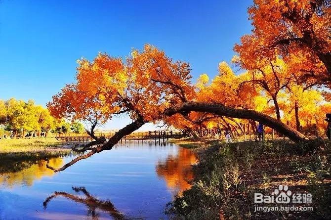 国内最美星空欣赏地攻略——一大波美图
