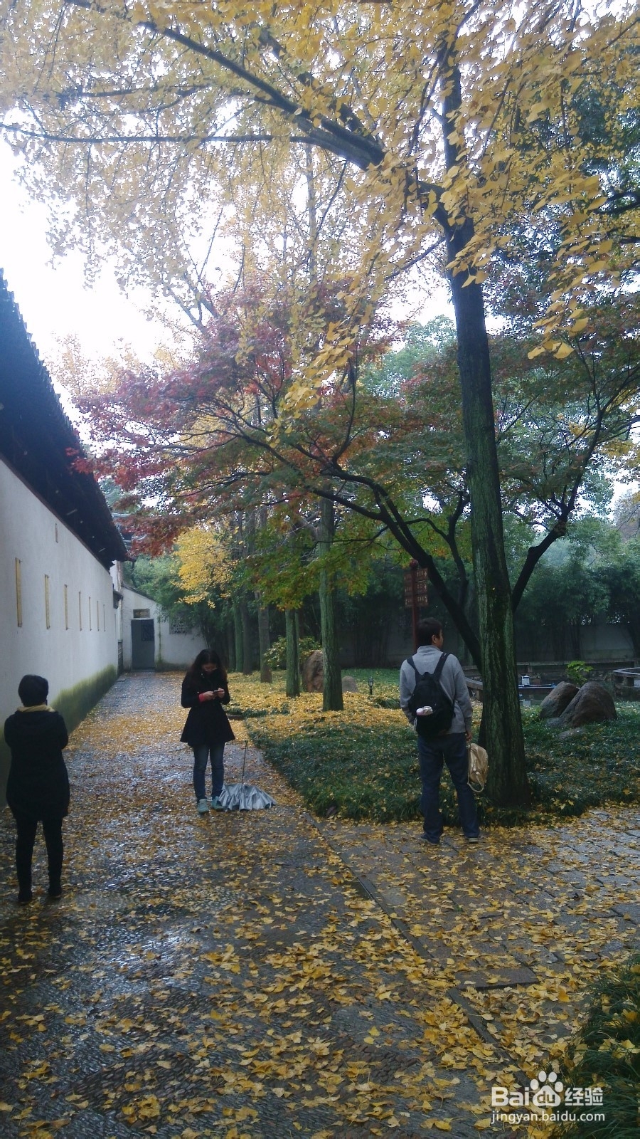 寺院_寺庙的和尚每天具体都干什么