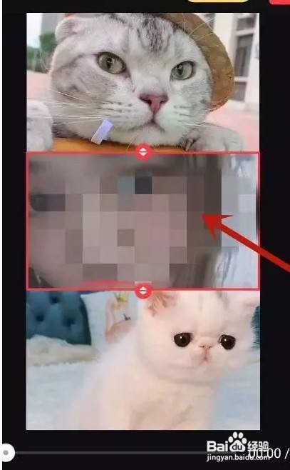 抖音如何合拍别人视频