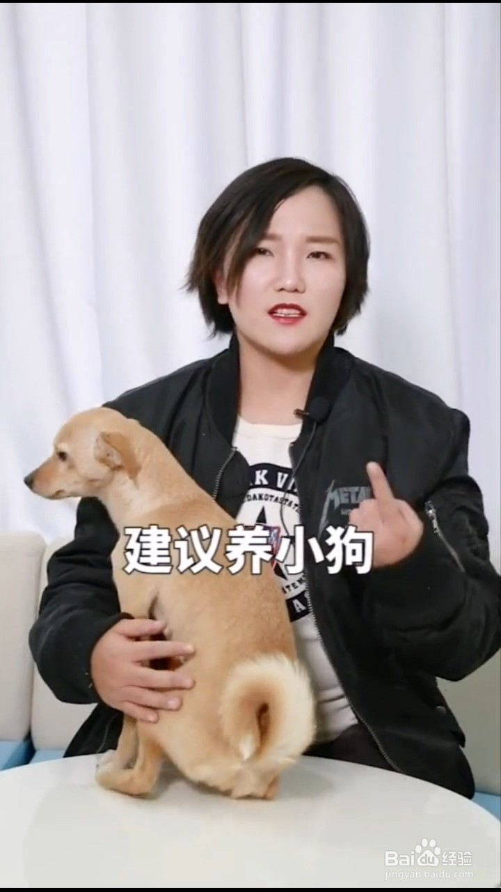 养狗如何更省钱