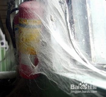 头层牛皮怎么打理