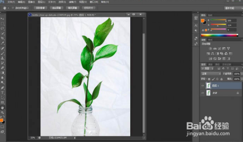 ps实用小技巧：快速抠出植物