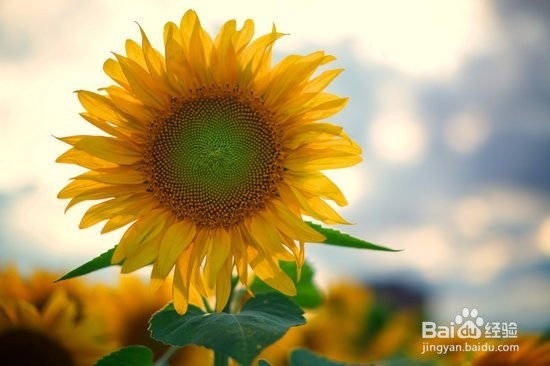 怎么才能做个快乐的人？