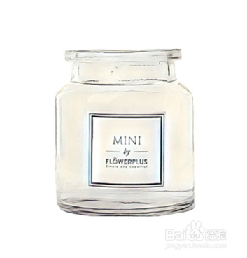 花加mini系列养护插花指南