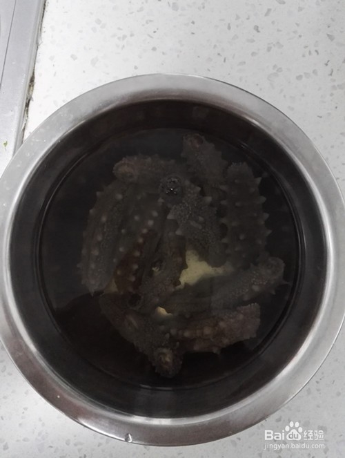 干海参怎样泡发