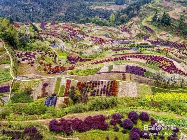 重庆5月最佳旅行地推荐