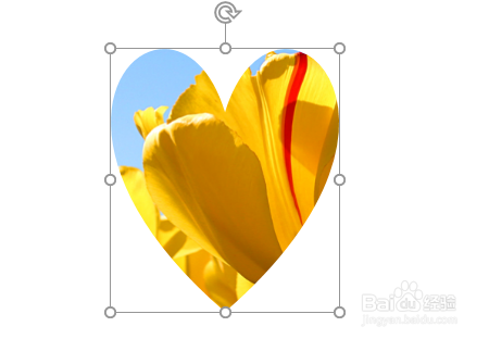 ppt将图片剪切成任意想要的形状