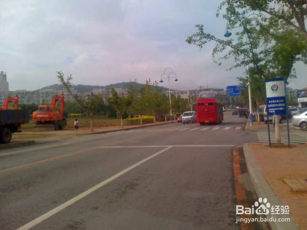 怎样告诉孩子安全过马路--15