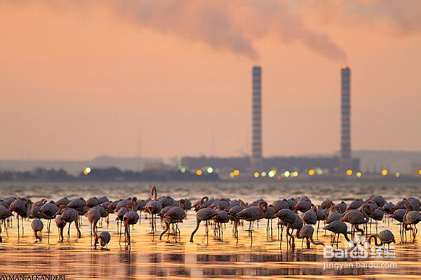 五个应对空气污染的拍摄技巧：[1]