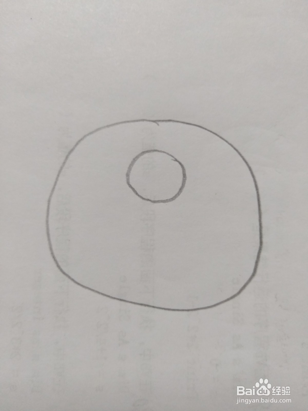 简笔画柿子画法2