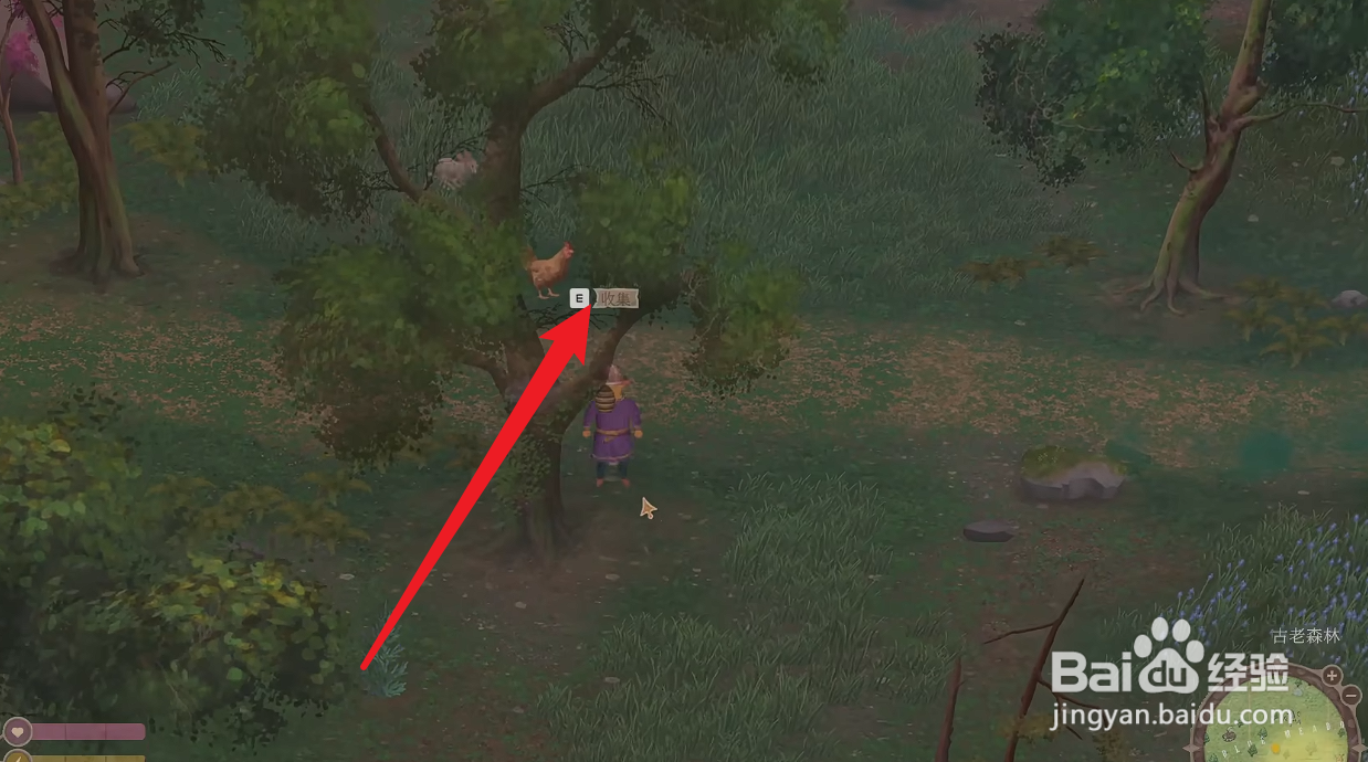 欢欣森活怎么获得蜂蜜