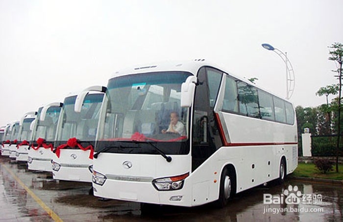 春运购买汽车票攻略大全