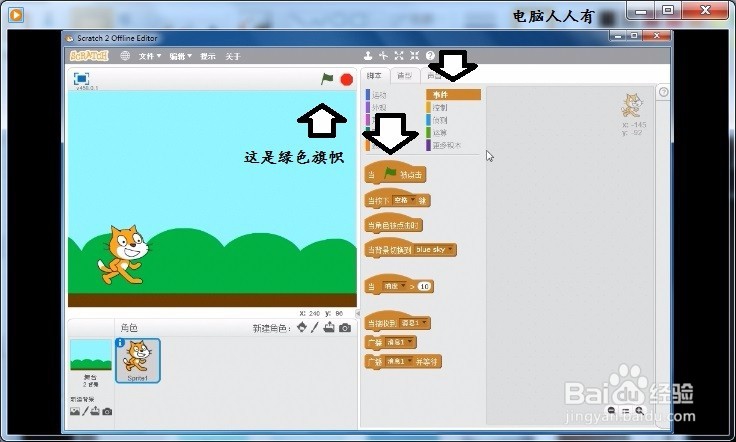 让蓝天下的小猫走起来