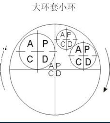 什么是PDCA (戴明环)#管理过程