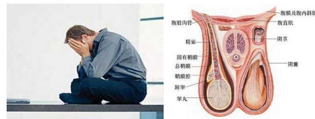 急性睾丸扭转的诊断思路有哪些?
