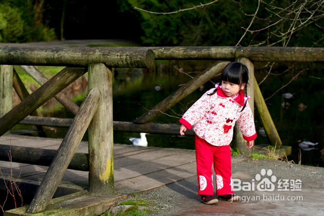 棒棒糖女孩和温哥华绿头鸭(组图)