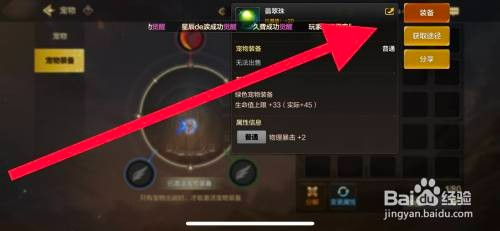 DNF手游宠物装备如何穿戴