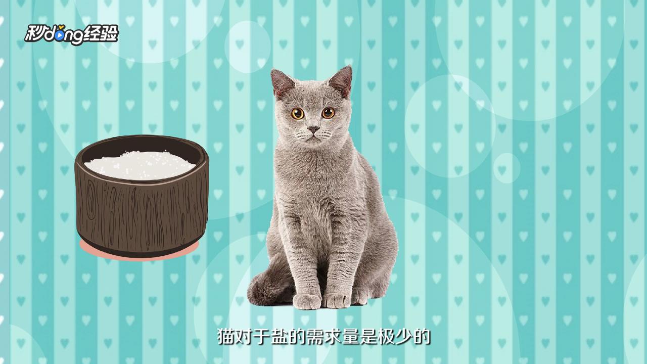 猫掉毛怎么办