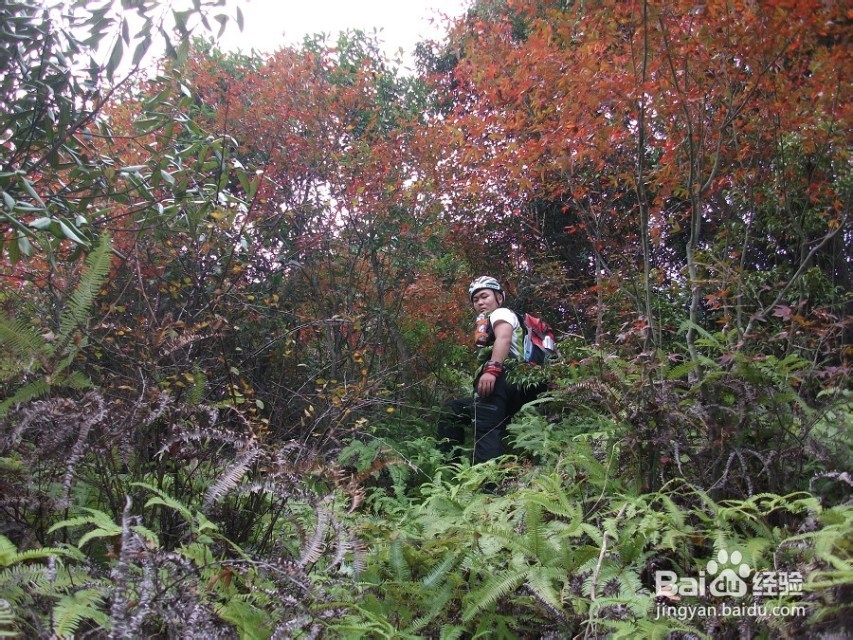 反穿福建福州十八重溪山脊,不一样的味道