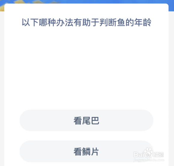 神奇海洋：以下哪种办法有助于判断鱼的年龄