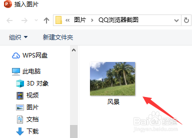 如何使PowerPoint中的图片有倒影效果
