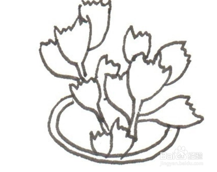 卡通画——熊童子的绘画技巧