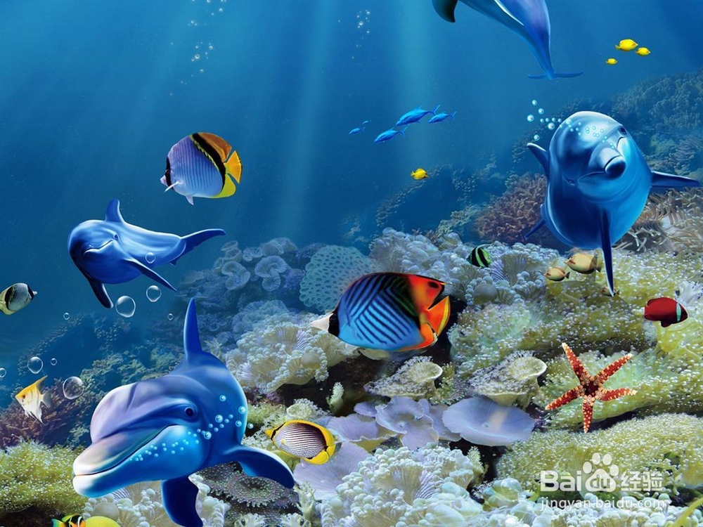 水混浊，有碍观赏怎么办