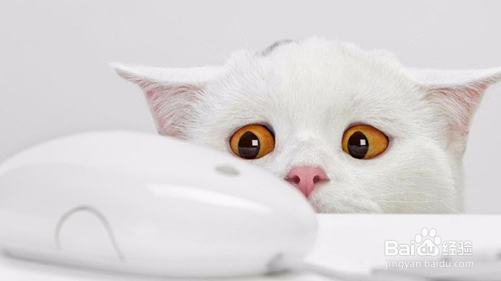 眼睛花了教你怎样修复