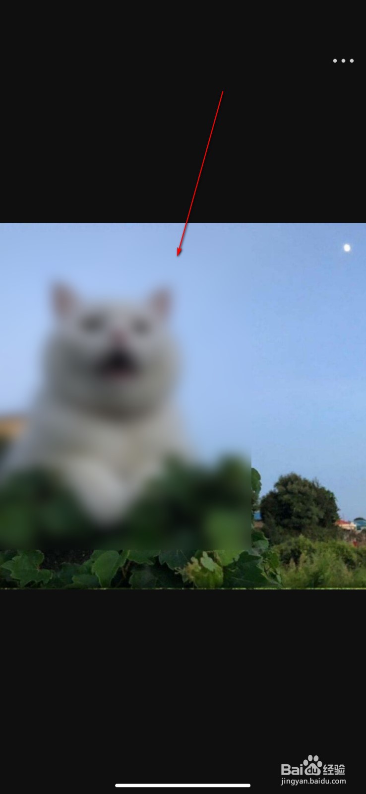 微博怎么查看使用过的历史头像