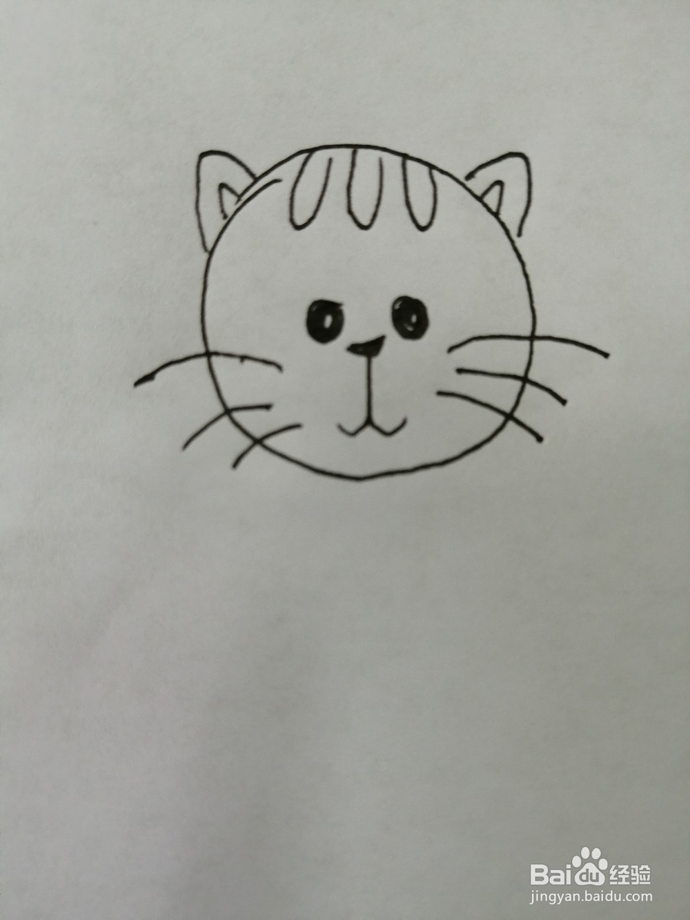 爱吃鱼的小猫咪怎么画