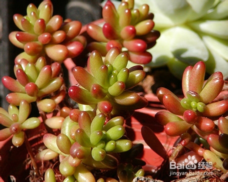 车内空气质量差怎么办