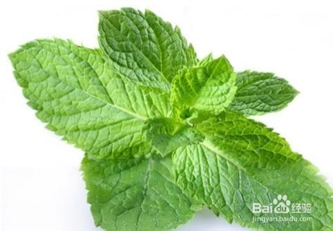6种食物可以帮助你有效治疗胃痛