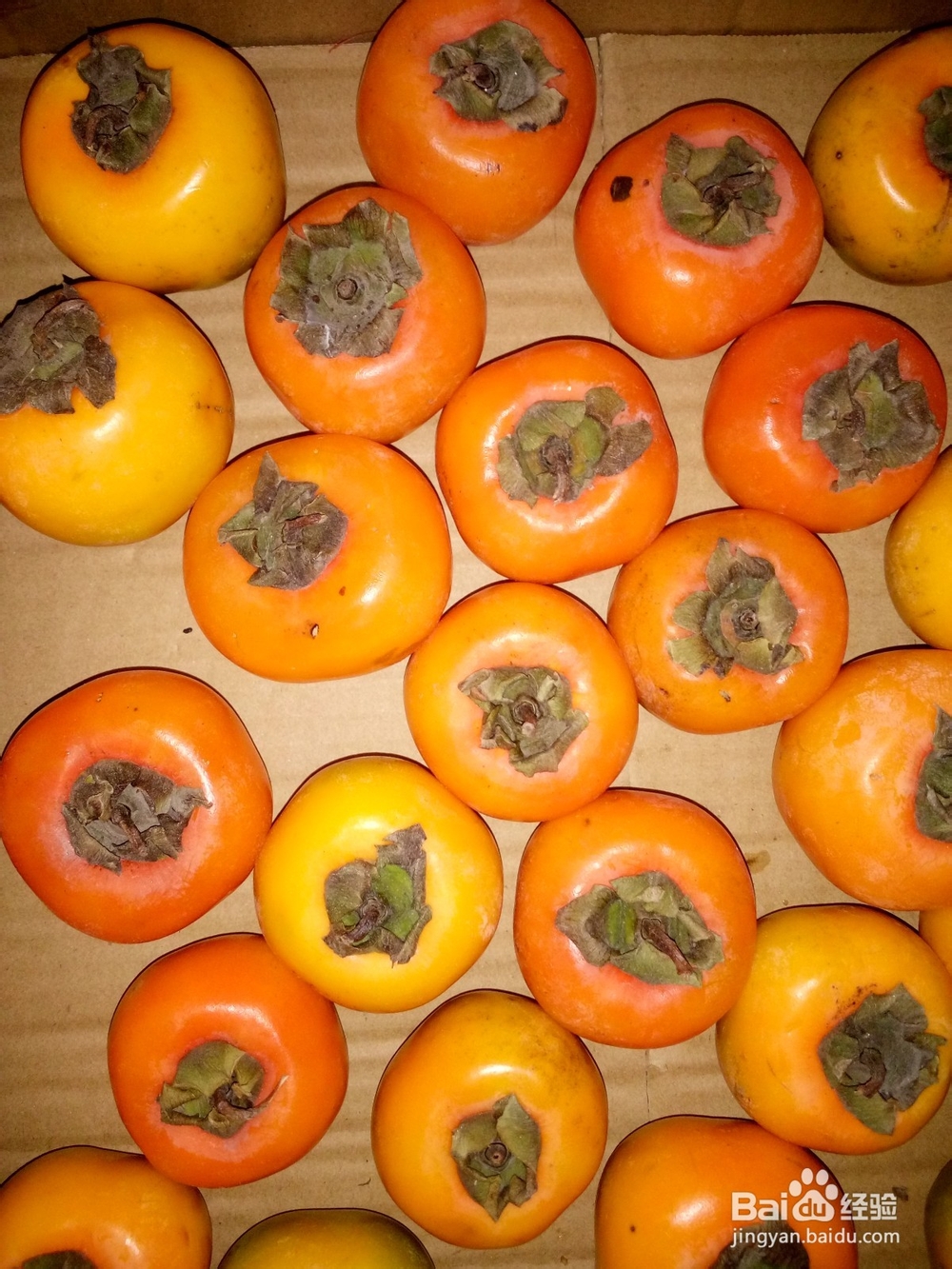 青柿子要怎么快速催熟