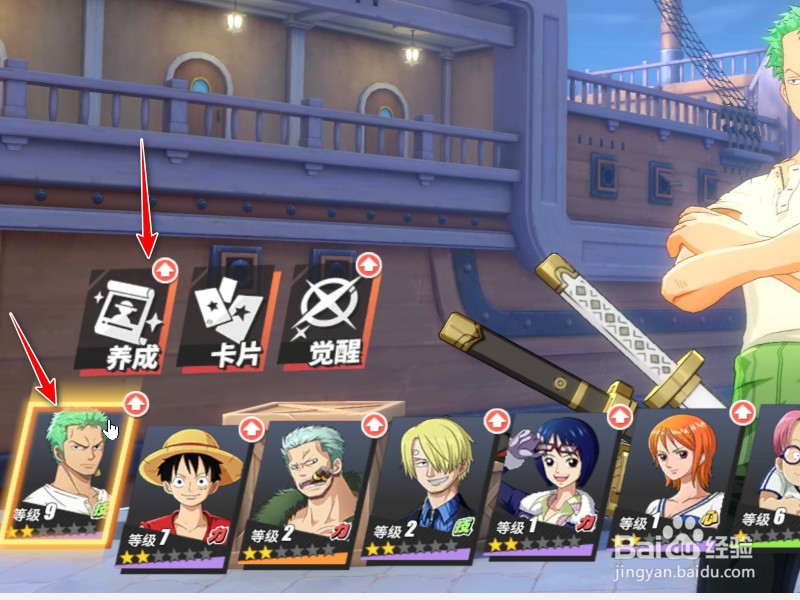 航海王怎么提升伙伴等级