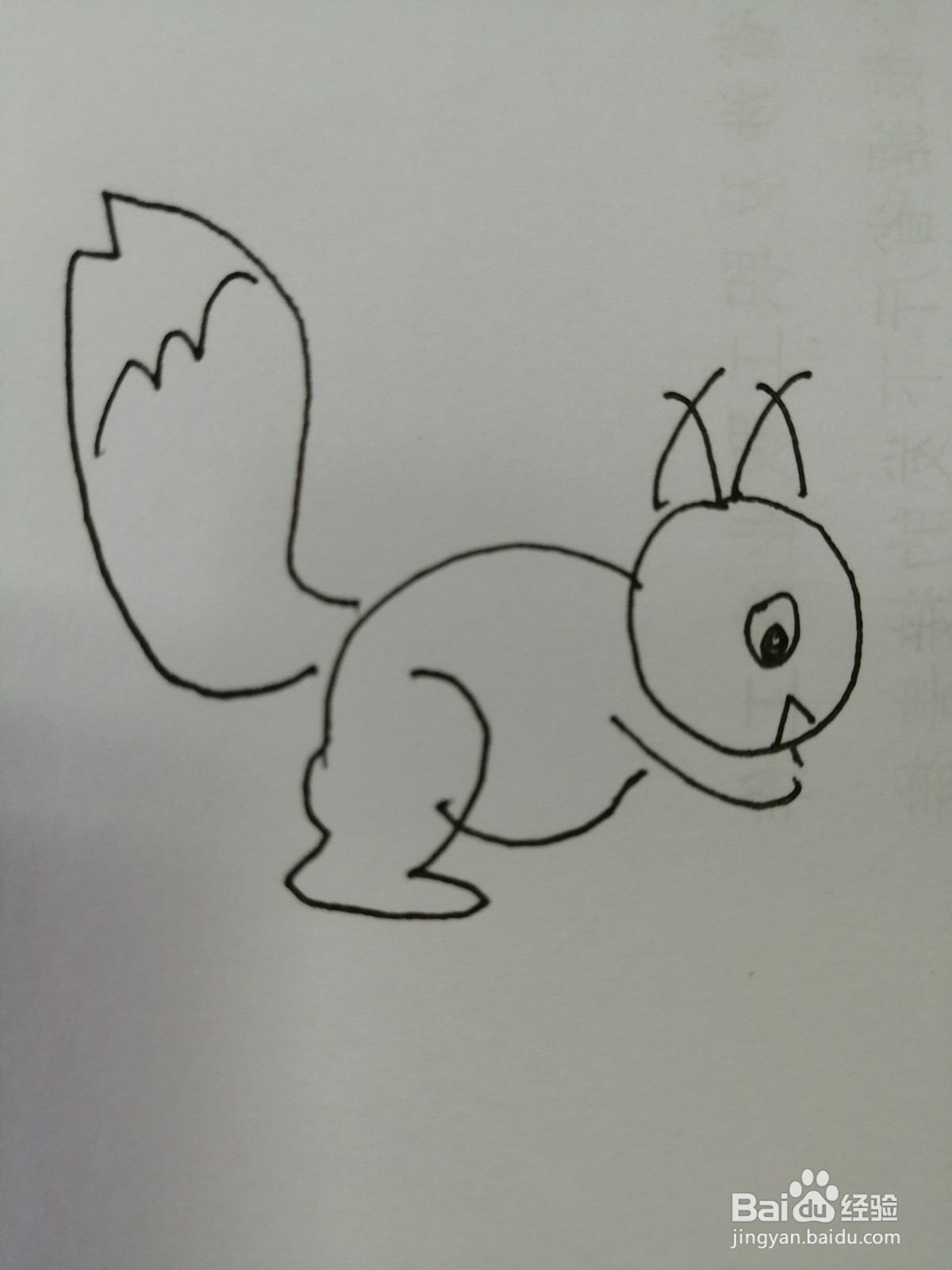 简笔画小松鼠怎么画