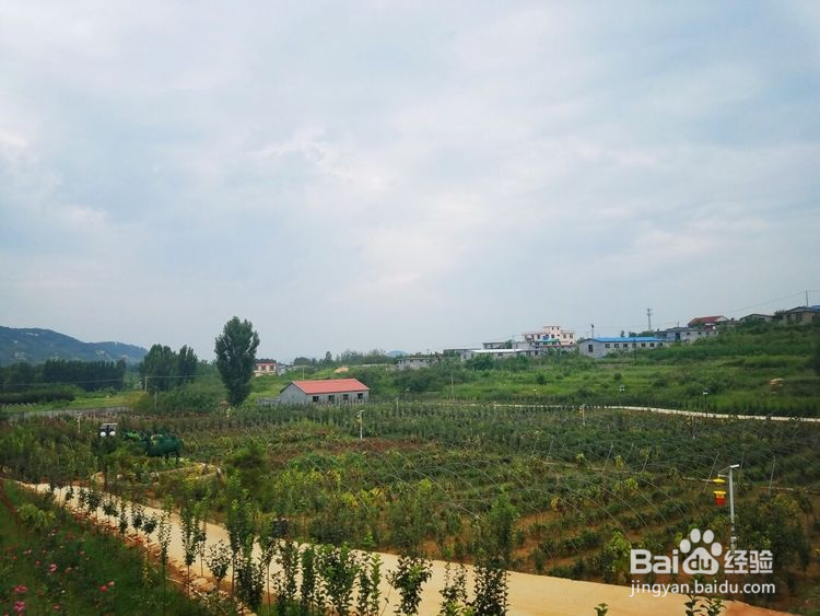 济南将军山马套村一日游攻略