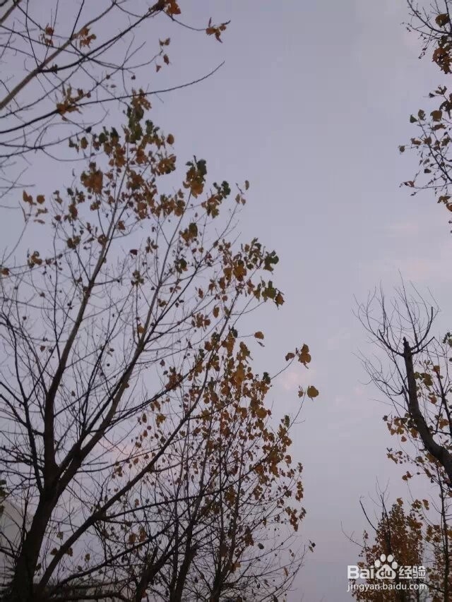 职场中不能讲的5种话