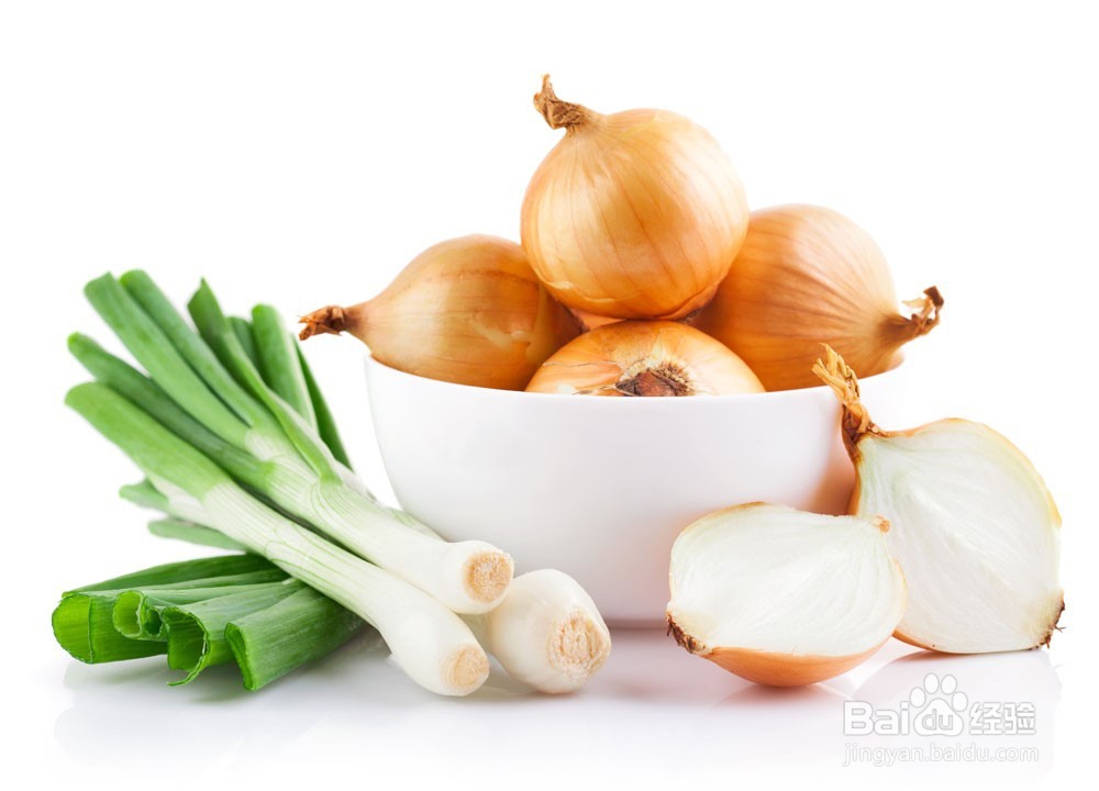 狗狗不能吃什么